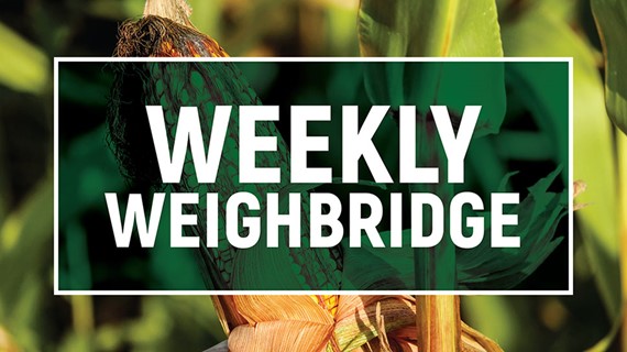 OVK Weighbridge 29 August 2019